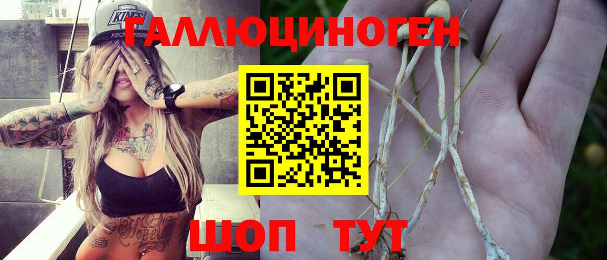 Псилоцибиновые грибы MAGIC MUSHROOMS  Псилоцибиновые грибы ЛСД  Сибай  Вход с VPN 