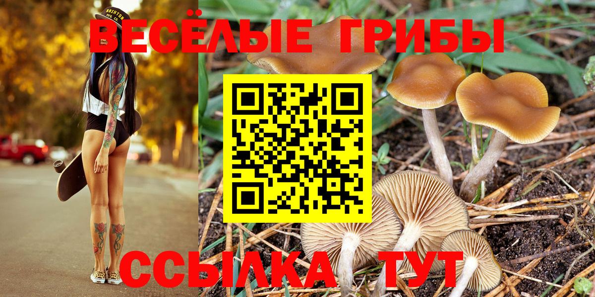 Галлюциногенные грибы GOLDEN TEACHER Сибай